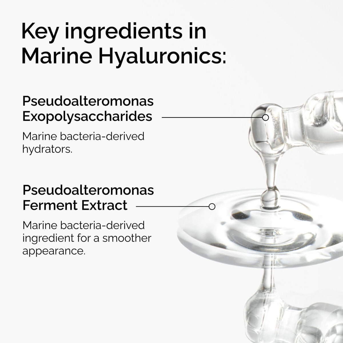 marine-hyaluronics-d6 FY25-D41247-ORD-Web-PDP-Marine-Hya-1x1-EN-2a.jpg
