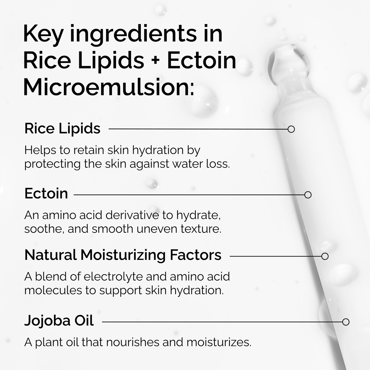 rice-lipids-ectoin-microemulsion-t6 ord-rice-lipids-ectoin-microemulsion-key-ingredients.png