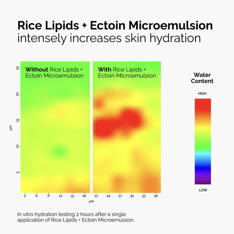 rice-lipids-ectoin-microemulsion-t6 ord-rice-lipids-ectoin-microemulsion-thermal-before-after.jpg